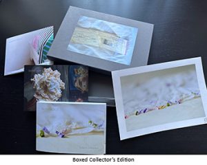 box collectors edition 1new