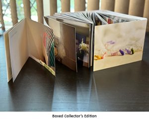 box collectors edition 2new