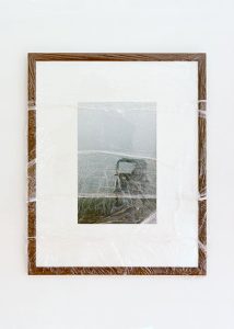 17382_003-re-cropped